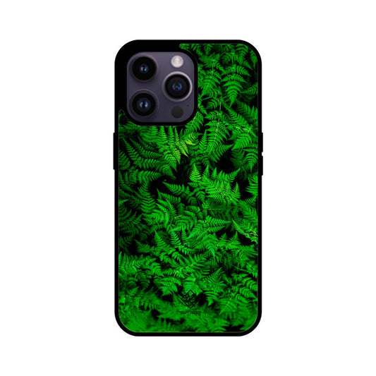 Fern Foliage
