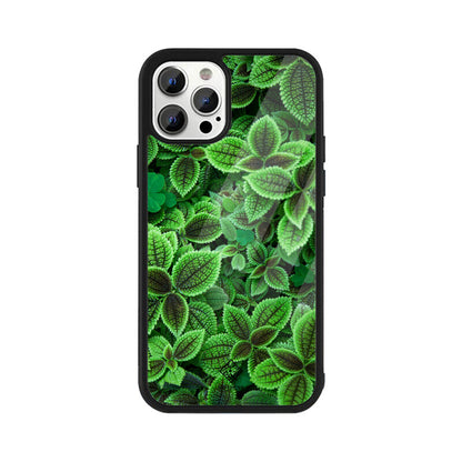 Minty Marvel iPhone Case