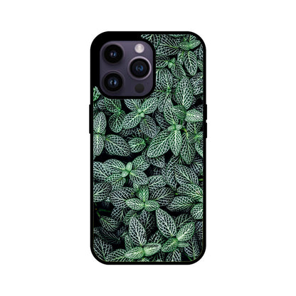 Arctic Arboretum iPhone Case