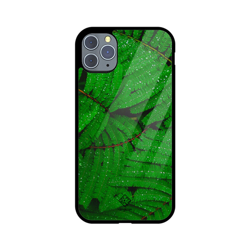 Fern Forest iPhone Case