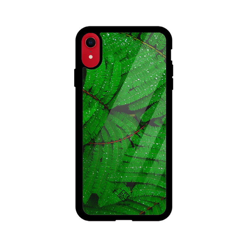 Fern Forest iPhone Case