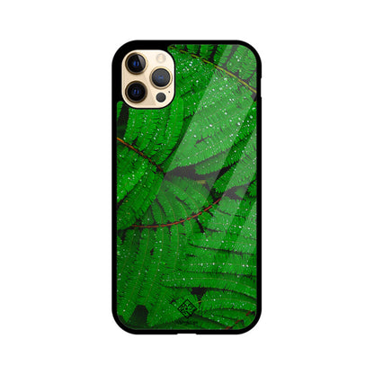 Fern Forest iPhone Case