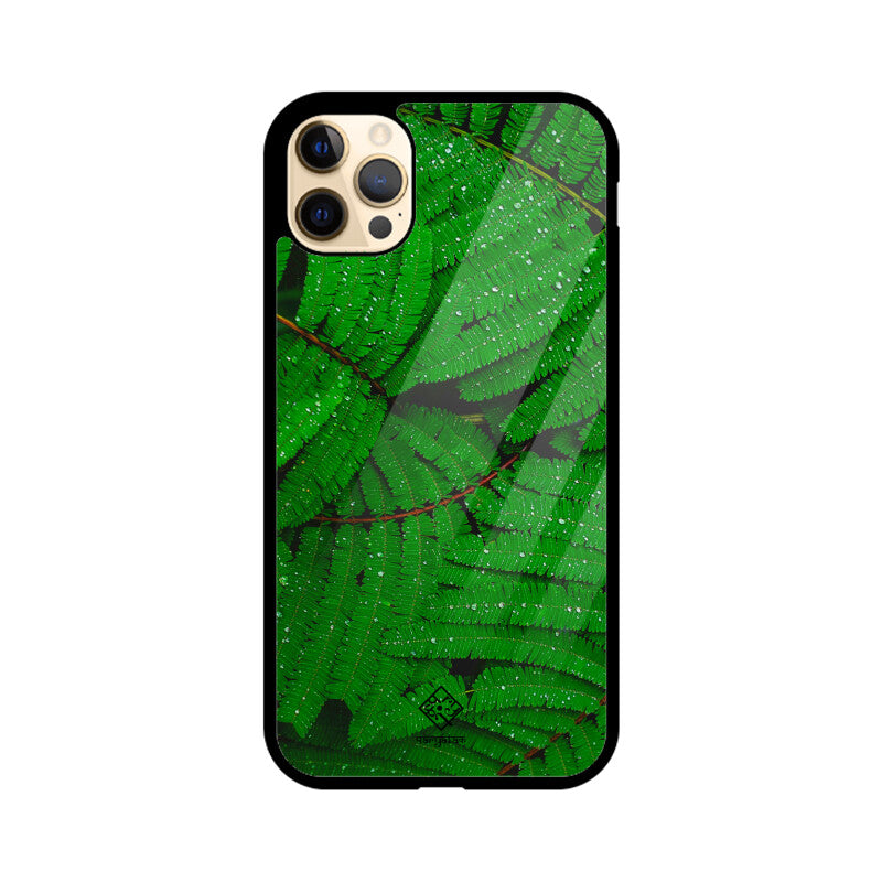 Fern Forest iPhone Case