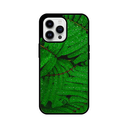 Fern Forest iPhone Case