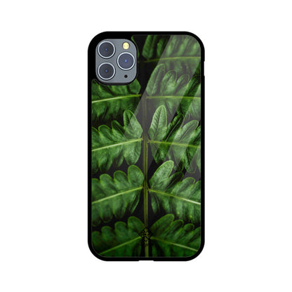 Macro Midrib iPhone Case