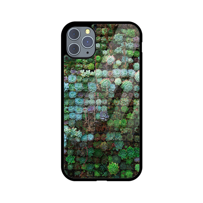 Succulent Sanctuary iPhone Case