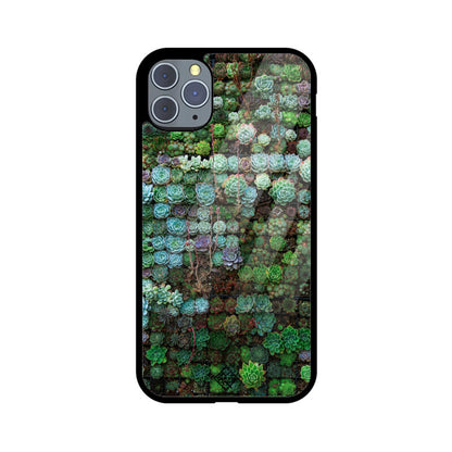 Succulent Sanctuary iPhone Case
