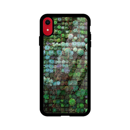 Succulent Sanctuary iPhone Case