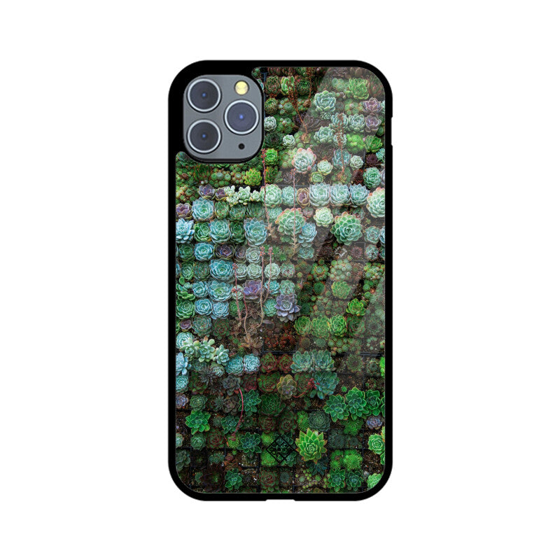 Succulent Sanctuary iPhone Case