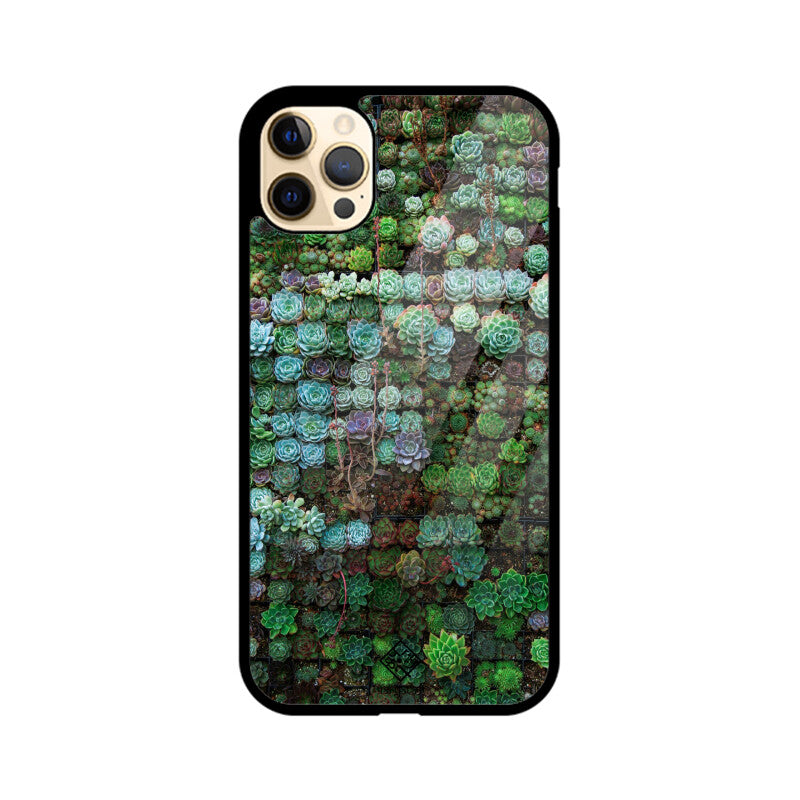 Succulent Sanctuary iPhone Case