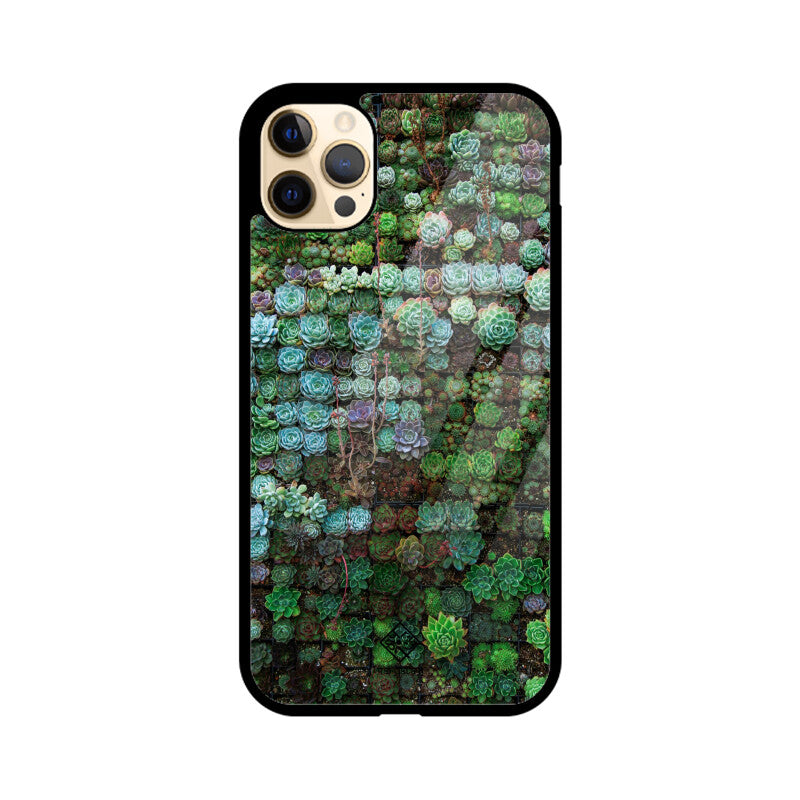 Succulent Sanctuary iPhone Case
