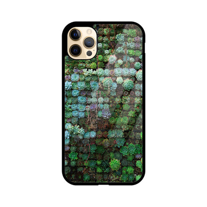 Succulent Sanctuary iPhone Case