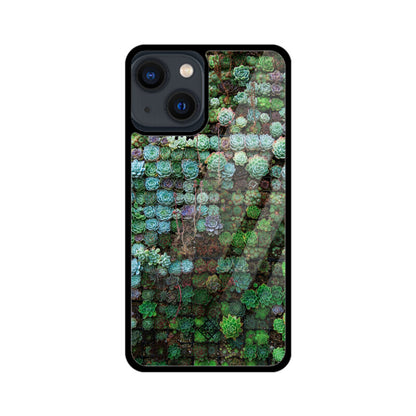 Succulent Sanctuary iPhone Case