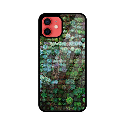 Succulent Sanctuary iPhone Case