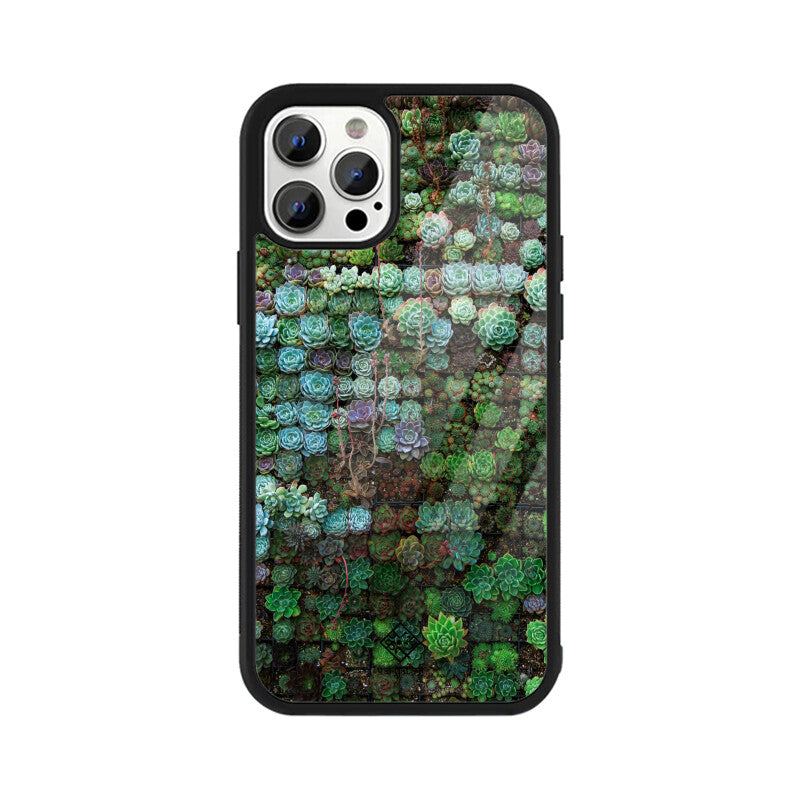 Succulent Sanctuary iPhone Case
