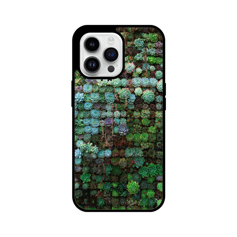 Succulent Sanctuary iPhone Case