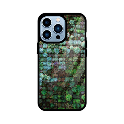 Succulent Sanctuary iPhone Case