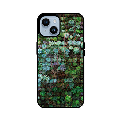 Succulent Sanctuary iPhone Case