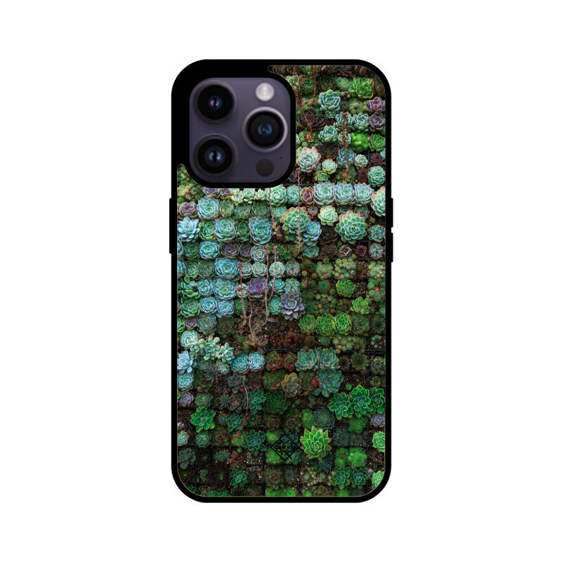 Succulent Sanctuary iPhone Case