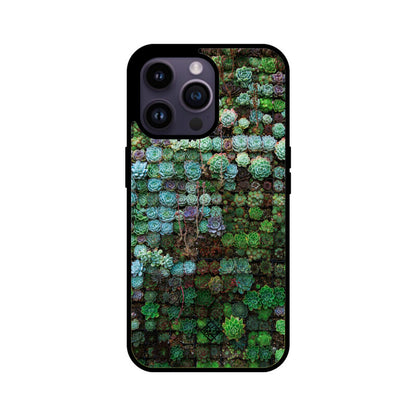 Succulent Sanctuary iPhone Case