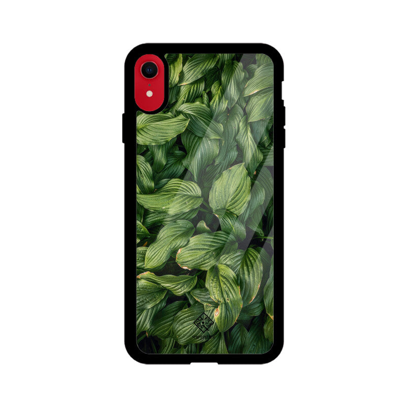 Livid Leaves iPhone Case