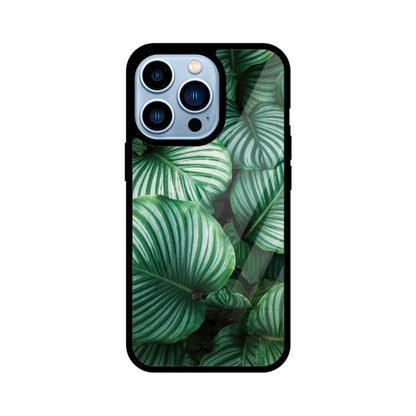 Leafy Glacier iPhone Case