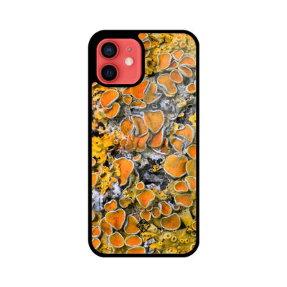 Sunny Shrooms iPhone Case