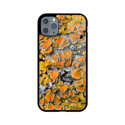 Sunny Shrooms iPhone Case