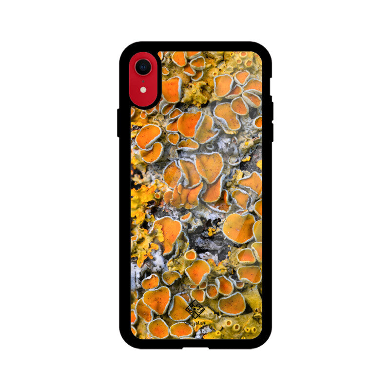 Sunny Shrooms iPhone Case