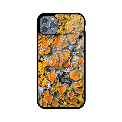 Sunny Shrooms iPhone Case