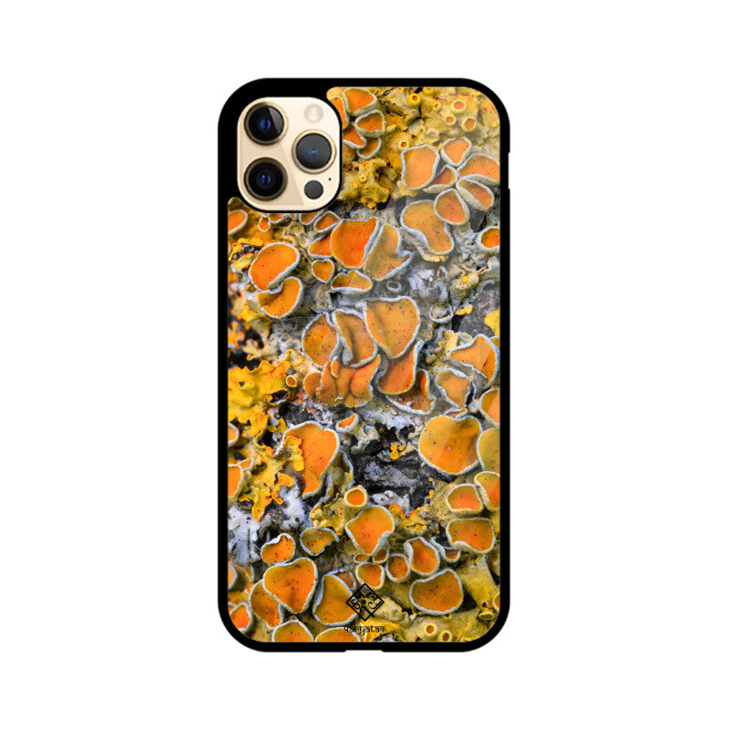 Sunny Shrooms iPhone Case