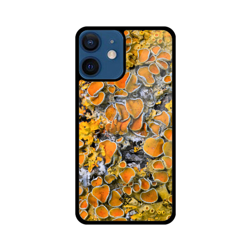 Sunny Shrooms iPhone Case