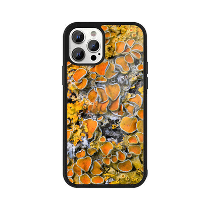 Sunny Shrooms iPhone Case