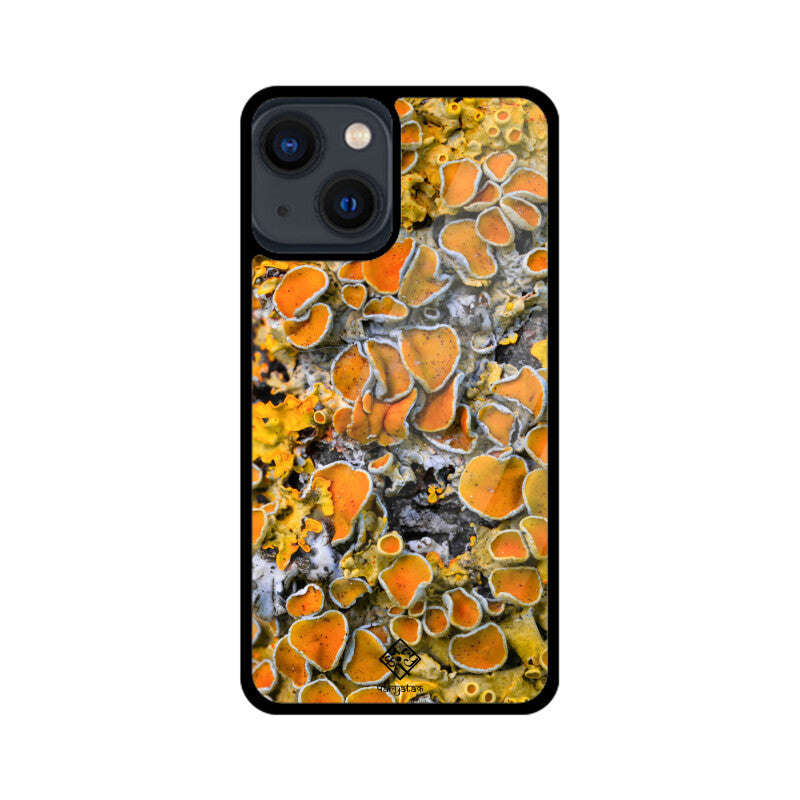 Sunny Shrooms iPhone Case