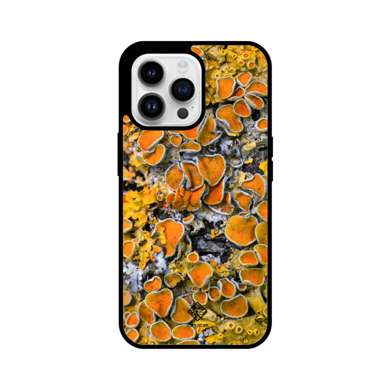 Sunny Shrooms iPhone Case