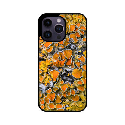 Sunny Shrooms iPhone Case