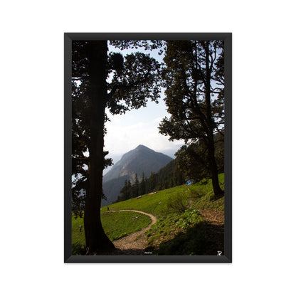 Trail of Tranquility Photo Poster