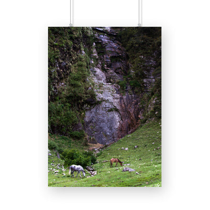 Horses in the Highlands Photo Poster