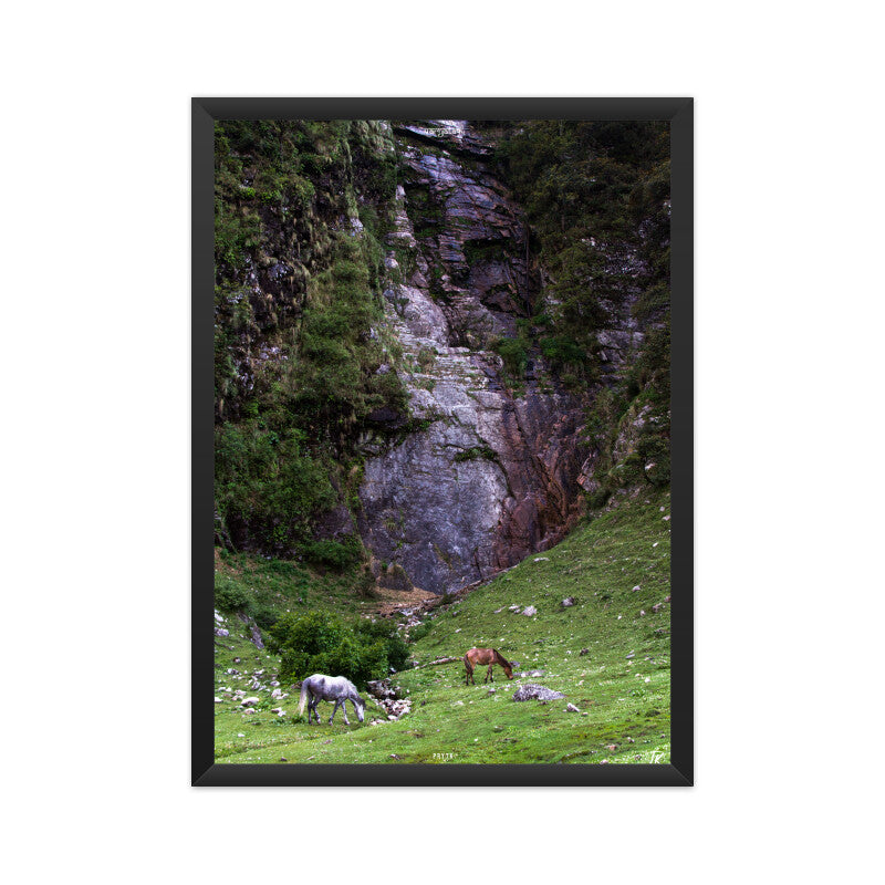 Horses in the Highlands Photo Poster