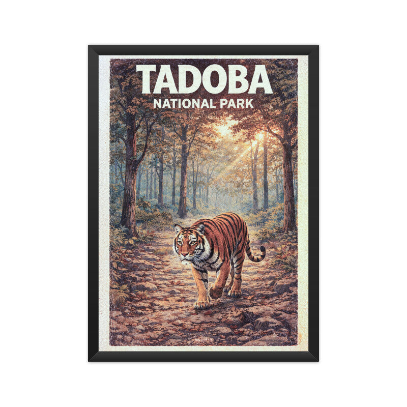 Front View - 5874061