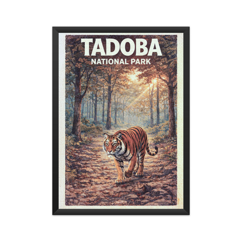 Front View - 5874063