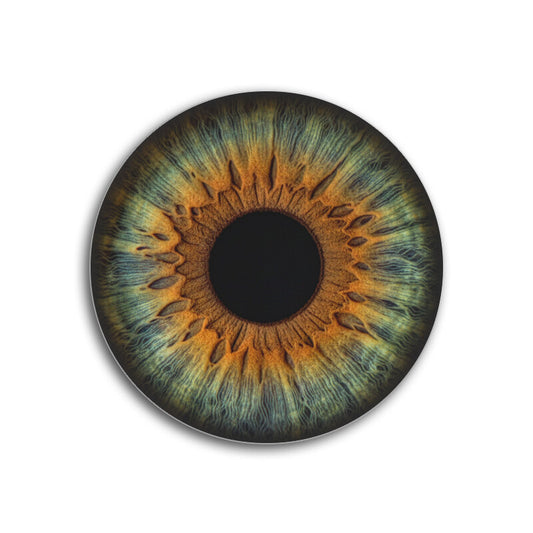 Front View - 5889169