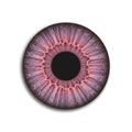 Front View - 5889173