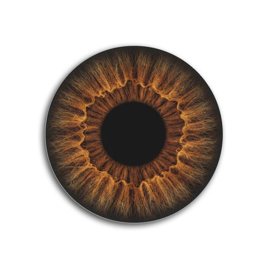 Front View - 5889355