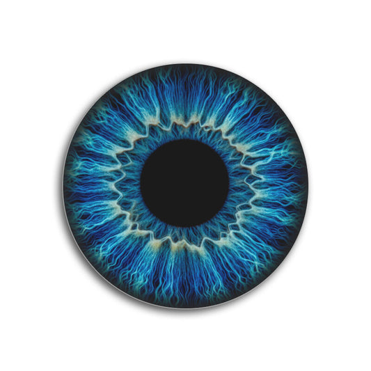 Front View - 5889384