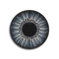 Front View - 5889386