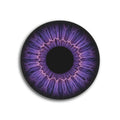 Front View - 5889388