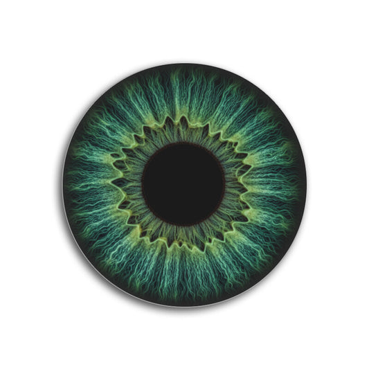 Front View - 5889390