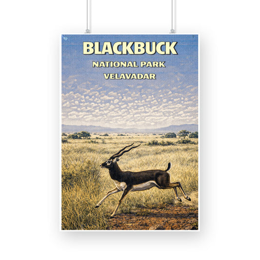 Front View - 5900791