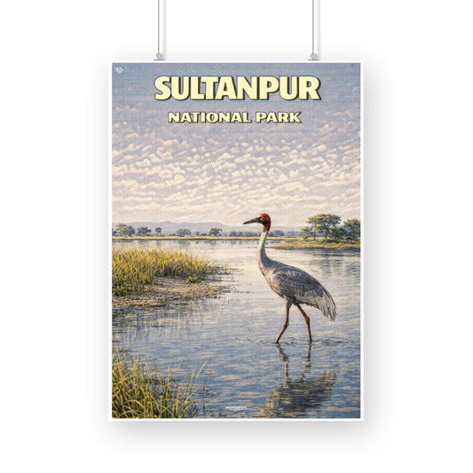 Front View - 5900810